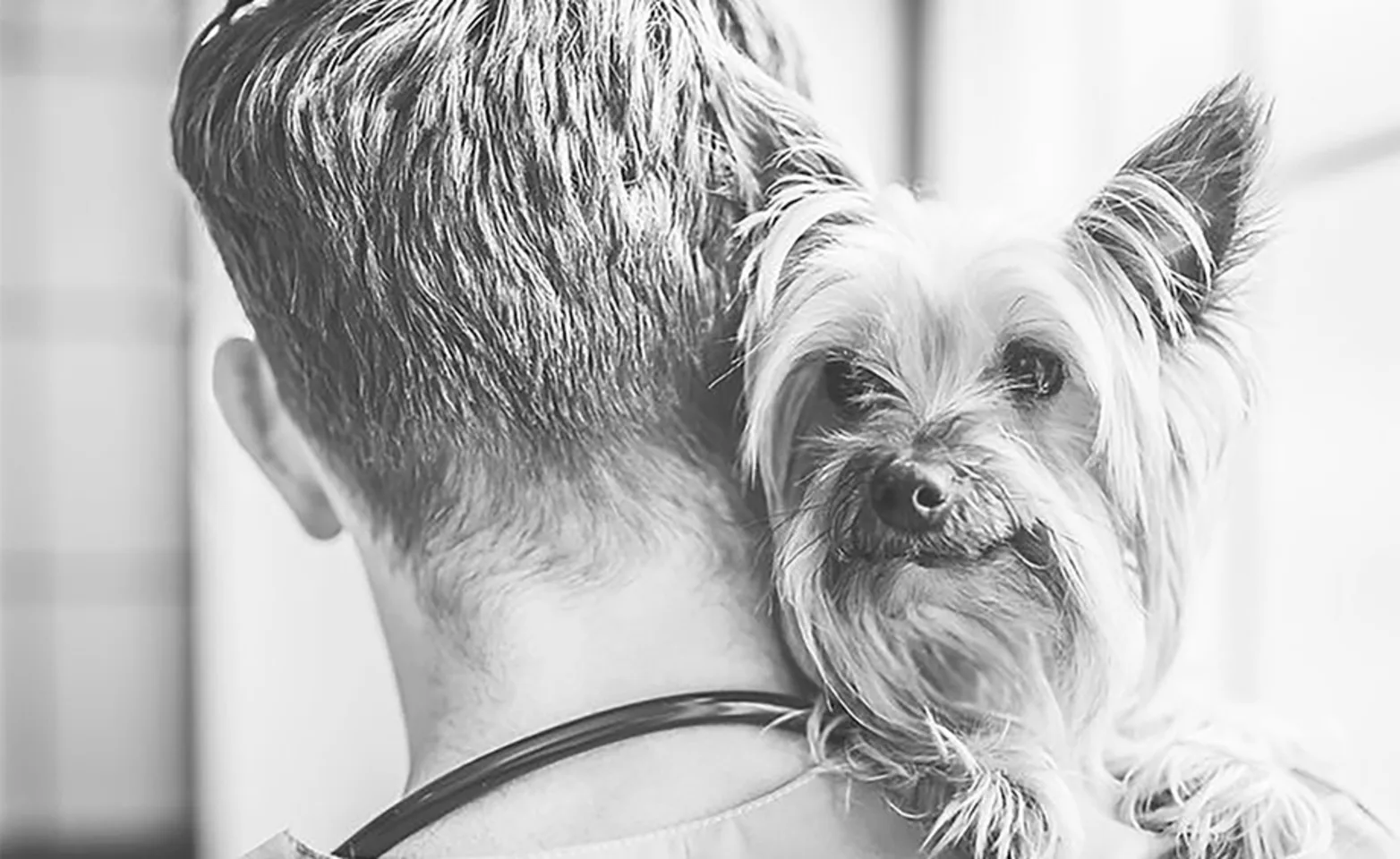Back of staff member's head while holding a dog and dog looking over his shoulder Back of staff member's head while holding a dog and dog looking over his shoulder