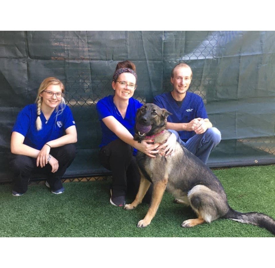 Three staff members Sitting with a dog