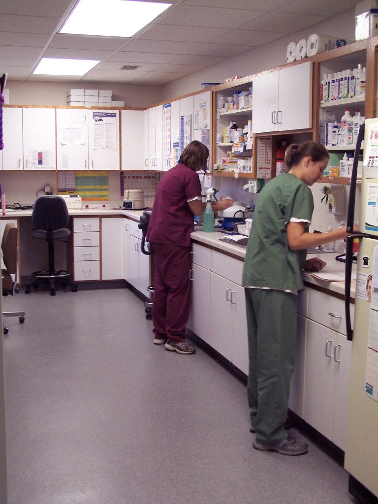 2 staff members performing lab work at Kind Veterinary Clinic in St. Peter 
