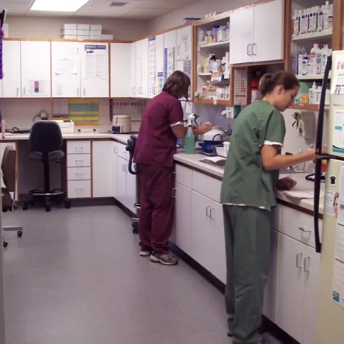 2 staff members performing lab work at Kind Veterinary Clinic in St. Peter 