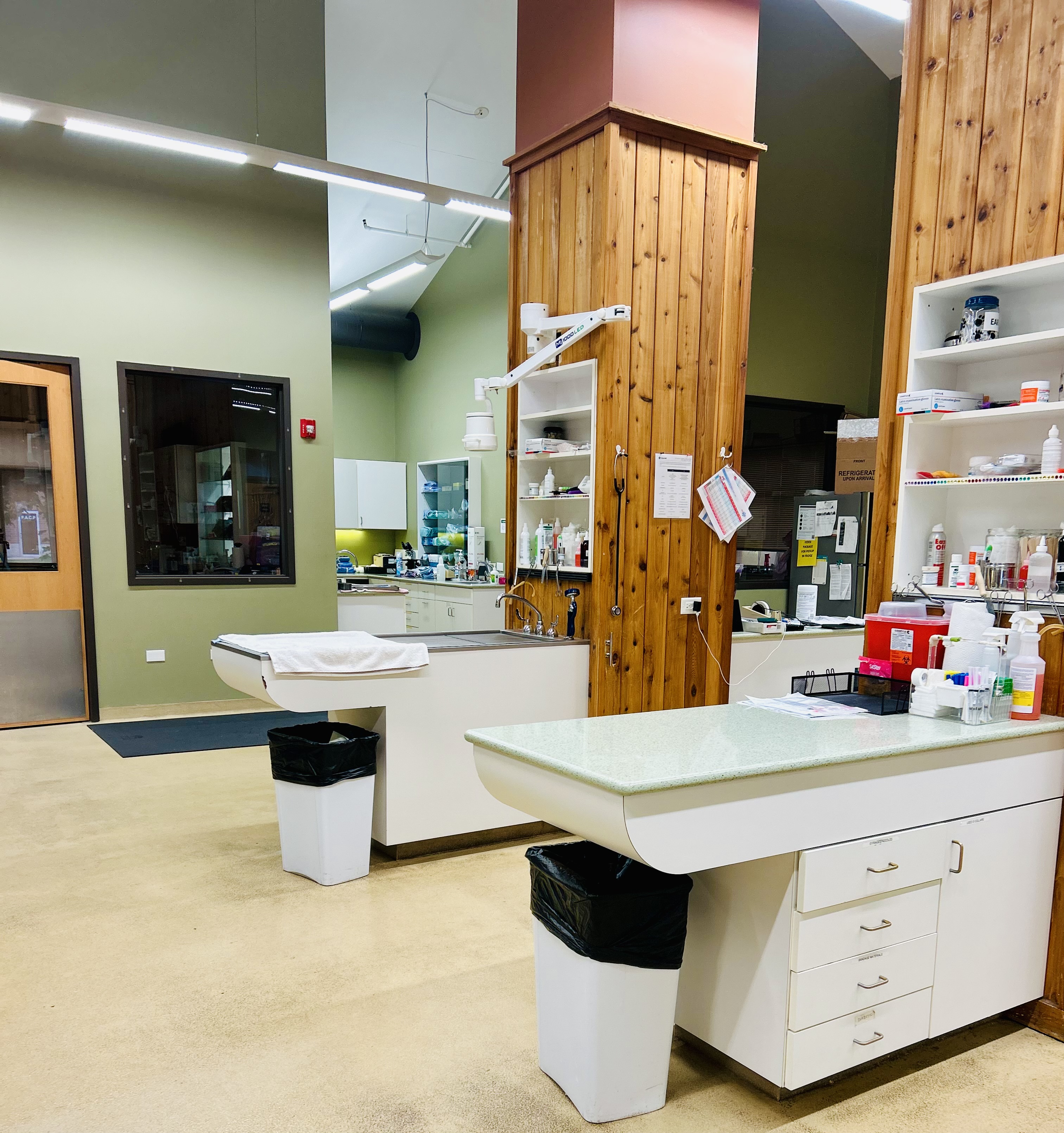 Treatment Area