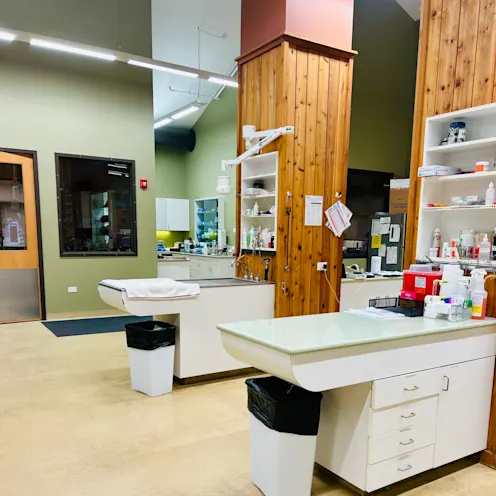Treatment Area Treatment Area