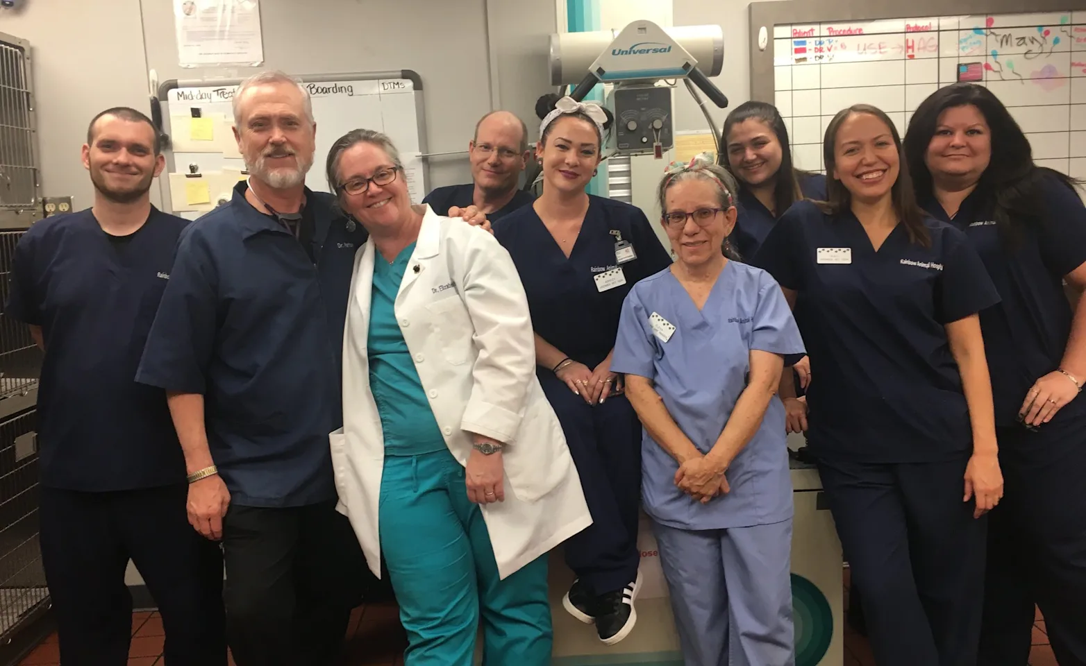 Veterinarians together at Rainbow Animal Hospital Veterinarians together at Rainbow Animal Hospital