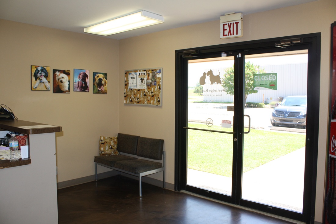 Westridge Animal Hospital Kennel Lobby