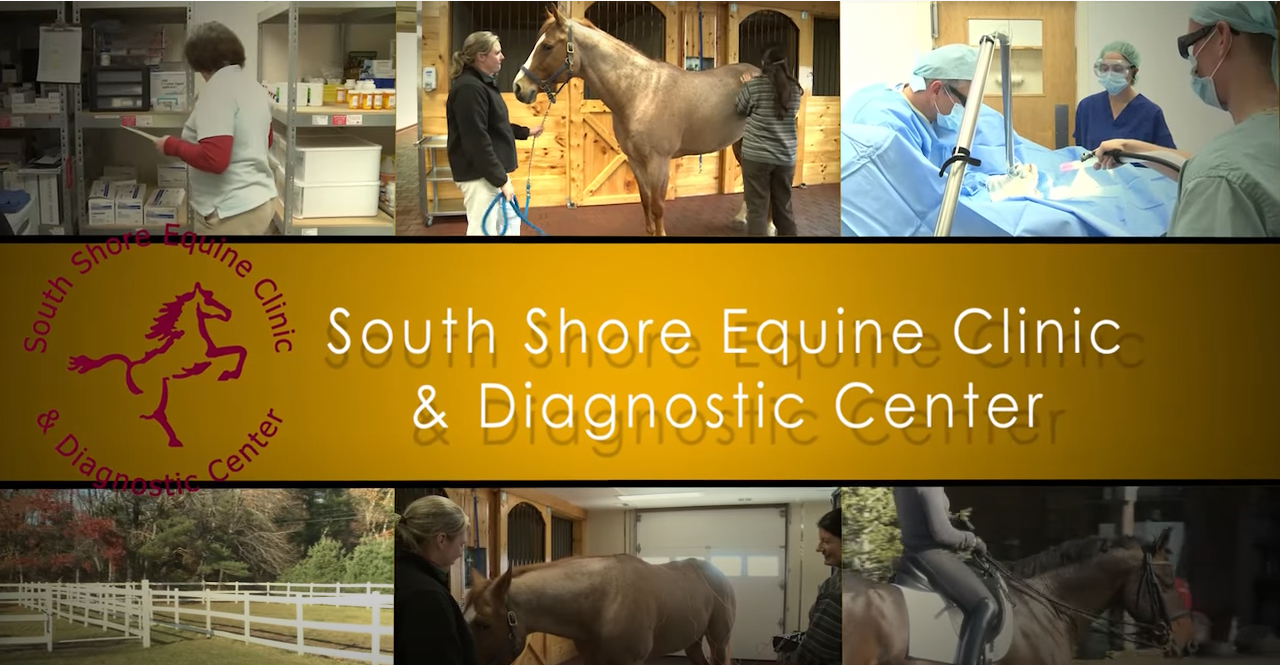 South Shore Equine Clinic & Diagnostic Center Video