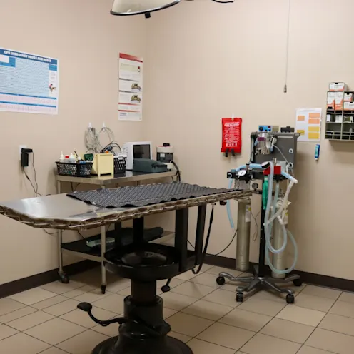 Surgical Suite Surgical Suite