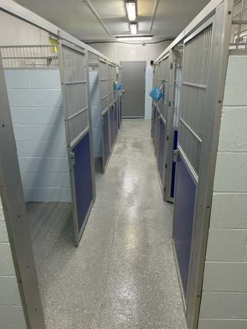 A larger holding area for our pets 