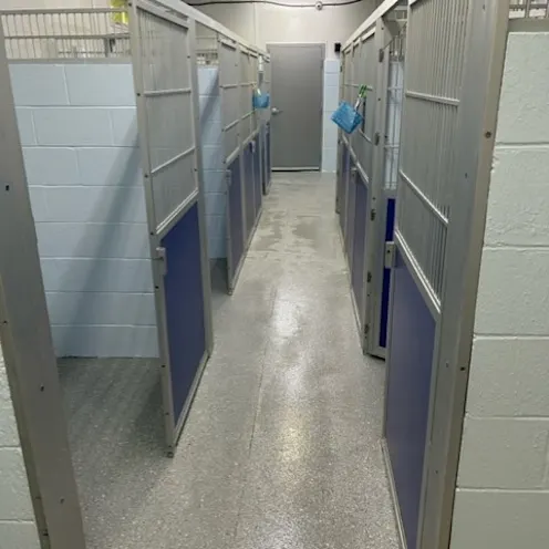 A larger holding area for our pets A larger holding area for our pets