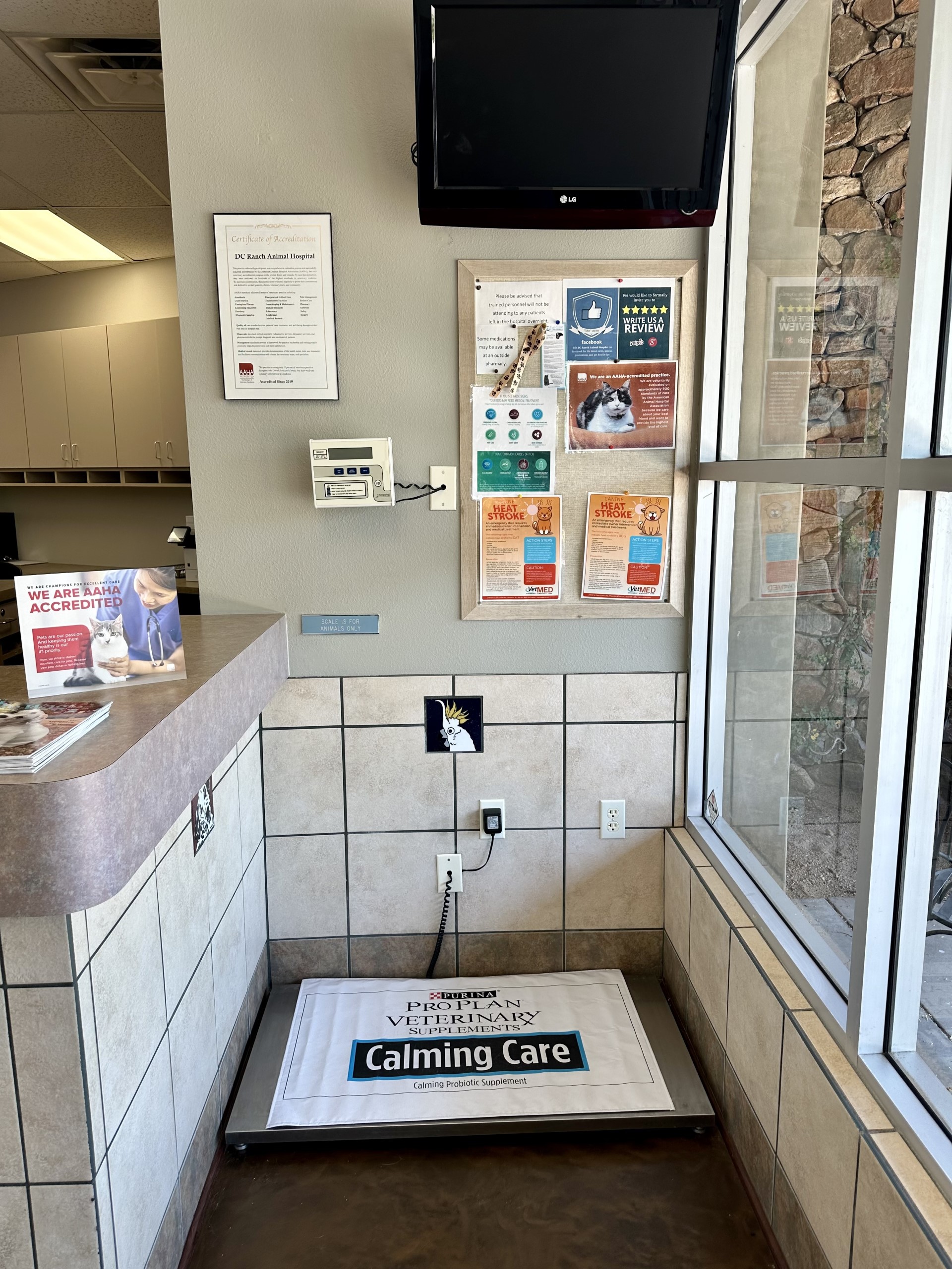 The weighing scale at our hospital