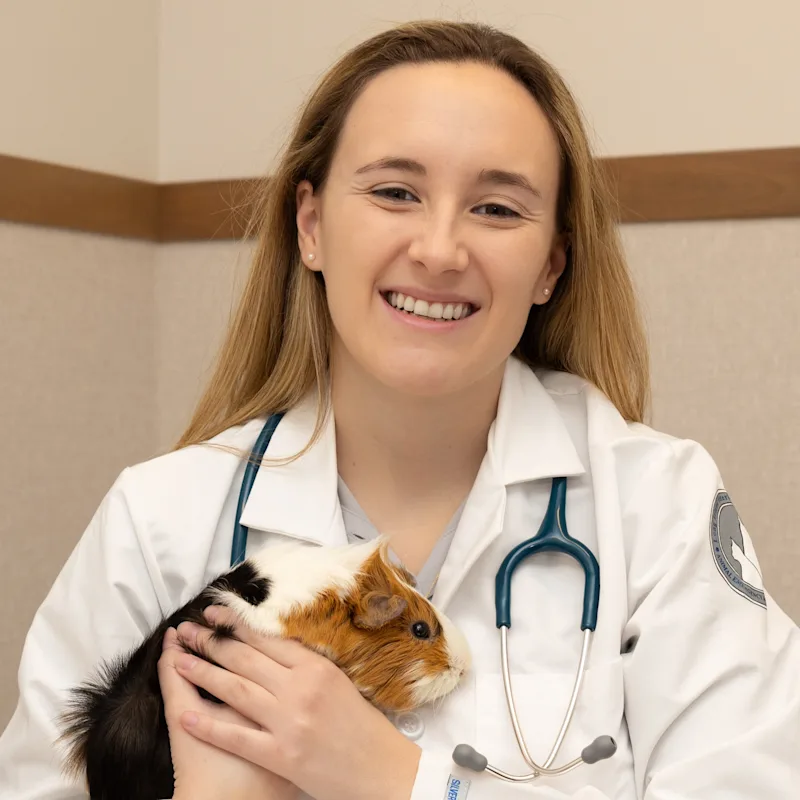 Dr. Perri Wiggin Dr. Perri Wiggin