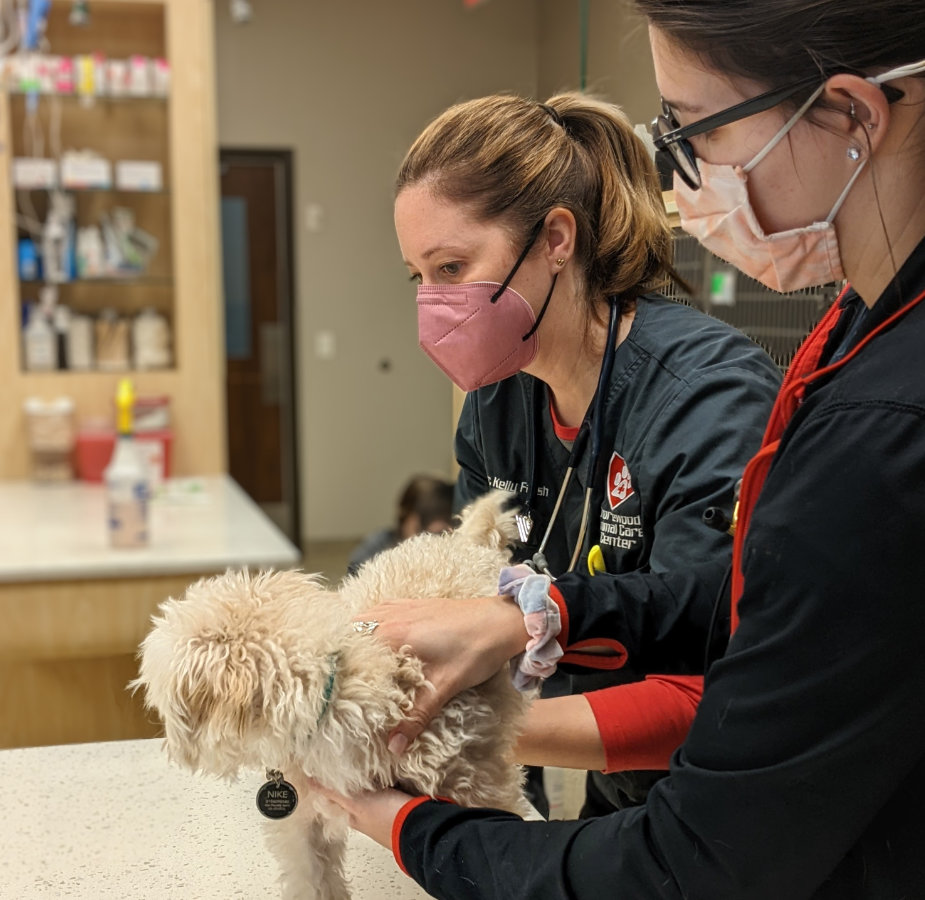 animal care center of plainfield emergency