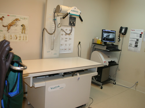 X Ray Room at Brentwood Veterinary Hospital