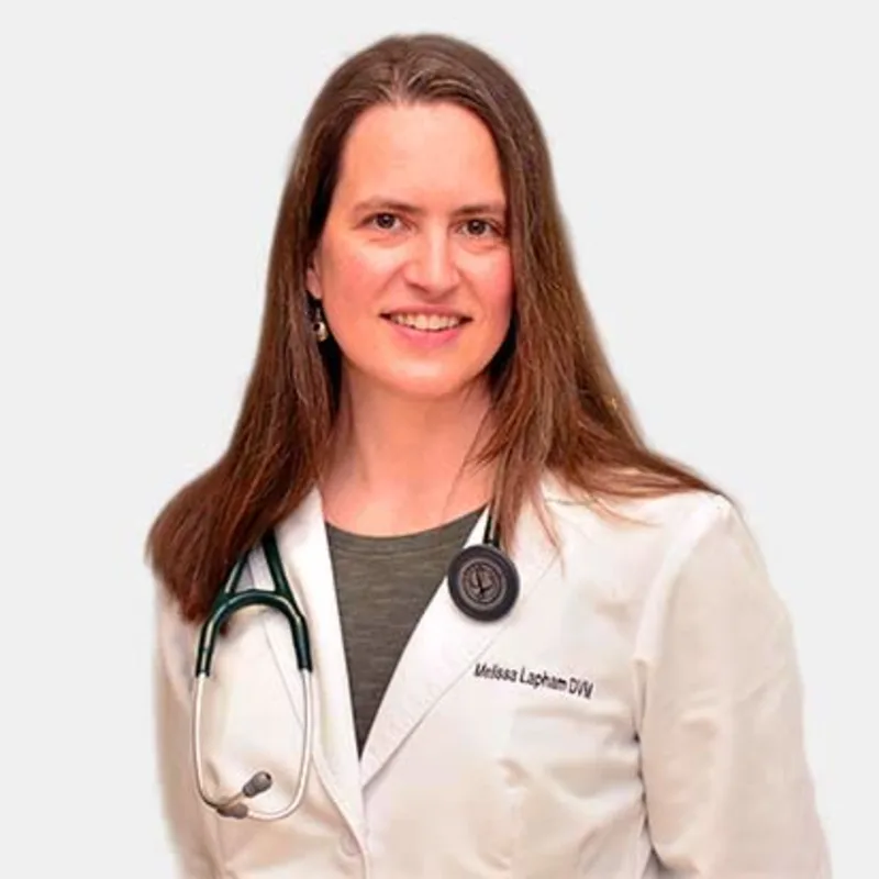 Melissa Lapham Melissa Lapham