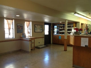 Verde Veterinary Hospital Lobby