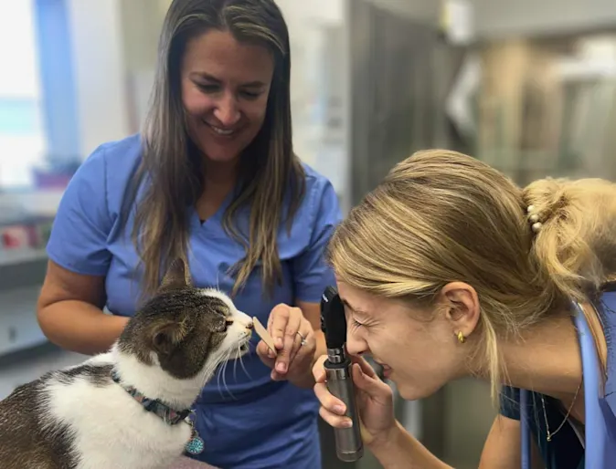 How do you inspire learning within your practice? How do you inspire learning within your practice?