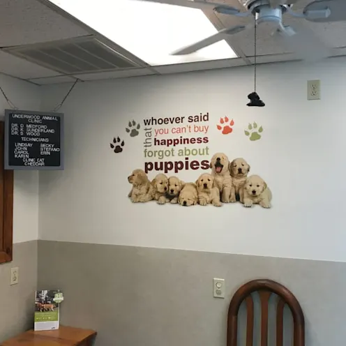 Waiting Room Waiting Room