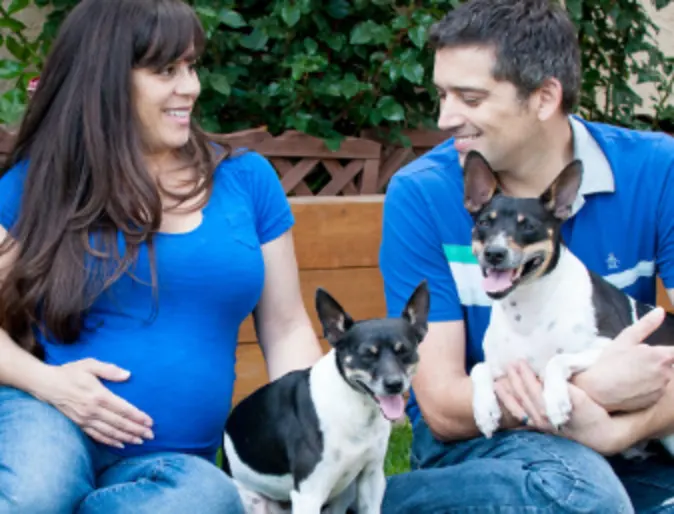 A married couple sitting with their two dogs outside A married couple sitting with their two dogs outside