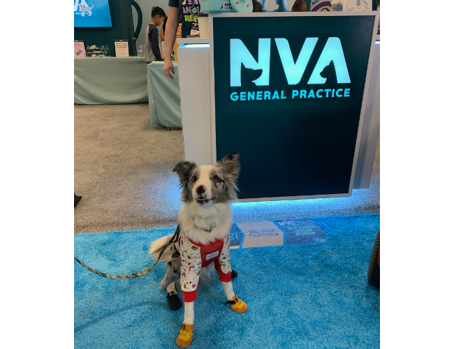 Keystone Veterinary Conference