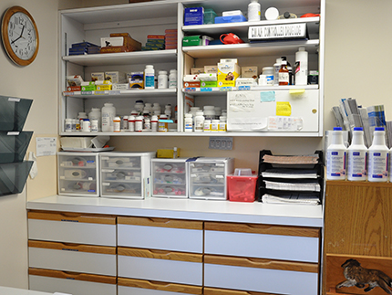Medicine for patients at Conrad Weiser Animal Hospital.