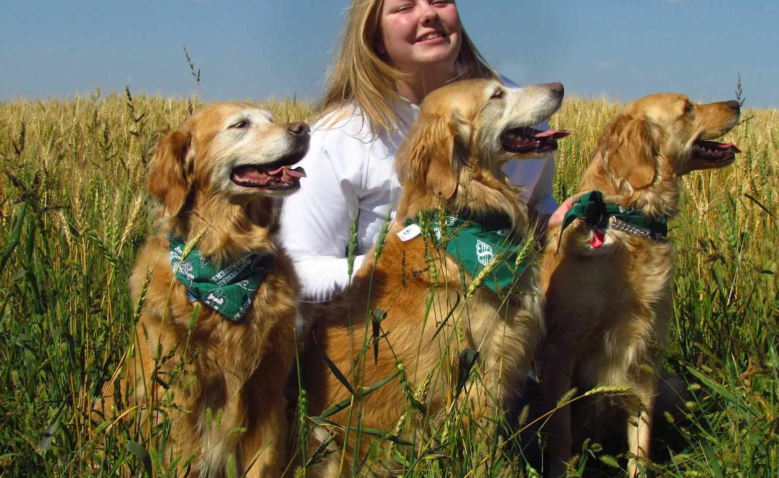 Kate Dean sitting in a field with 3 dogs Kate Dean sitting in a field with 3 dogs
