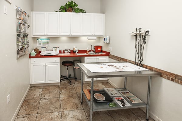 Exam Room at The Animalife Veterinary Center at Mission Hills