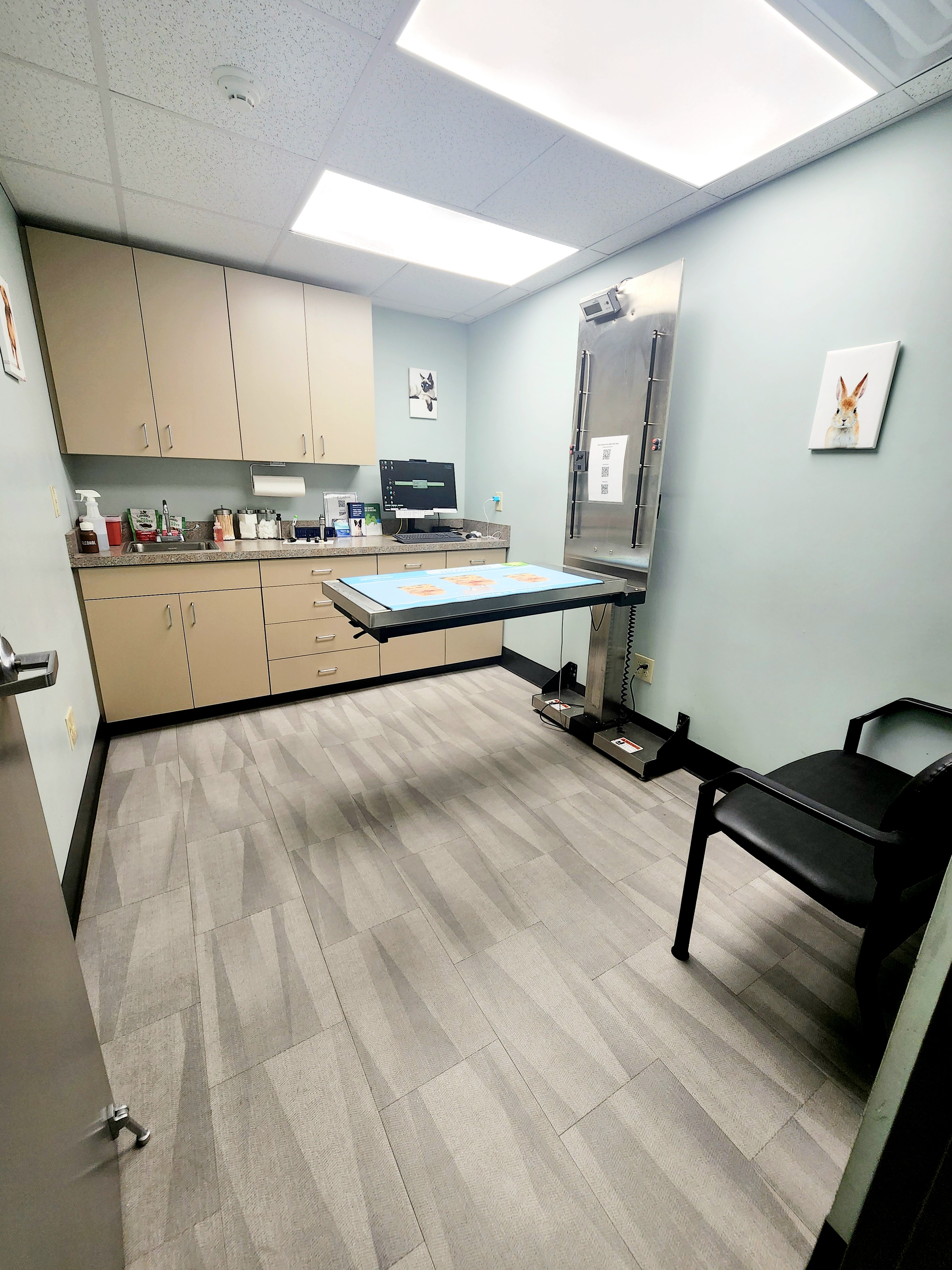 Chambersburg Animal Hospital Exam Room