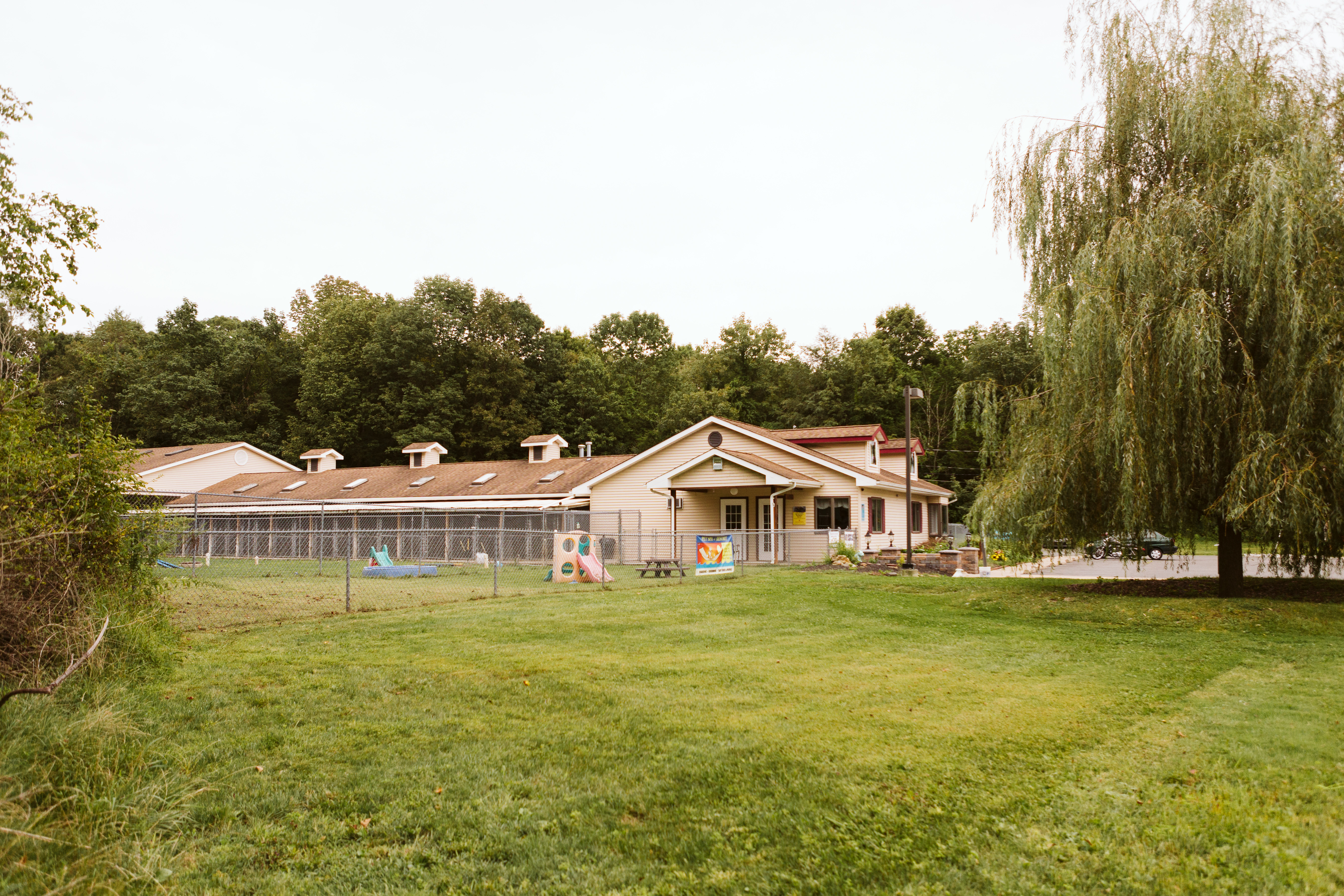 The Pet Spa & Resort Grass Area and their fenced yard with their building in the background. 