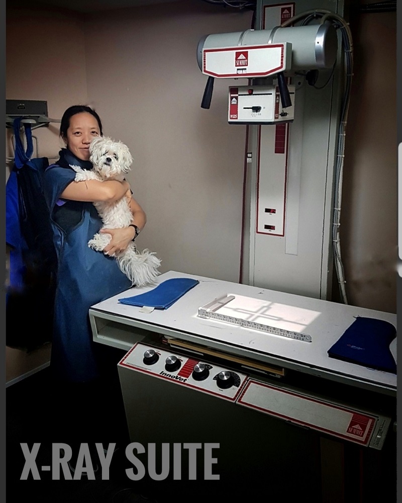 Xray suite 