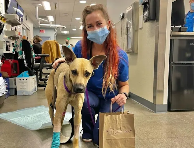 Eisenhower with doctor Eisenhower with doctor