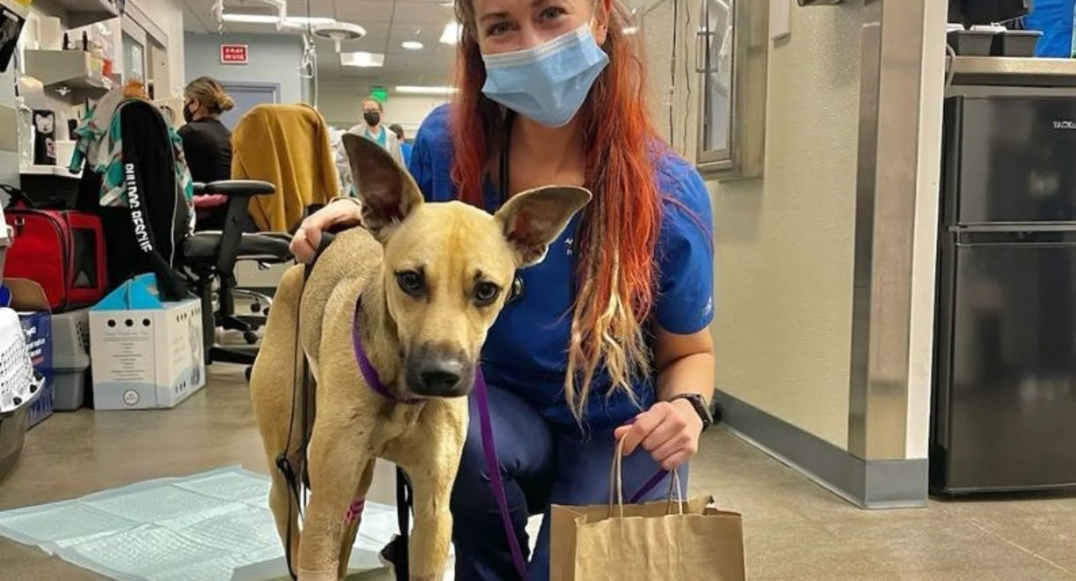 Eisenhower with doctor Eisenhower with doctor