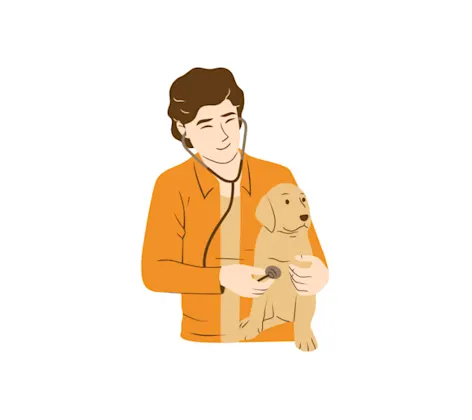 Cartoon Veterinarian Examining Golden Retriever Cartoon Veterinarian Examining Golden Retriever