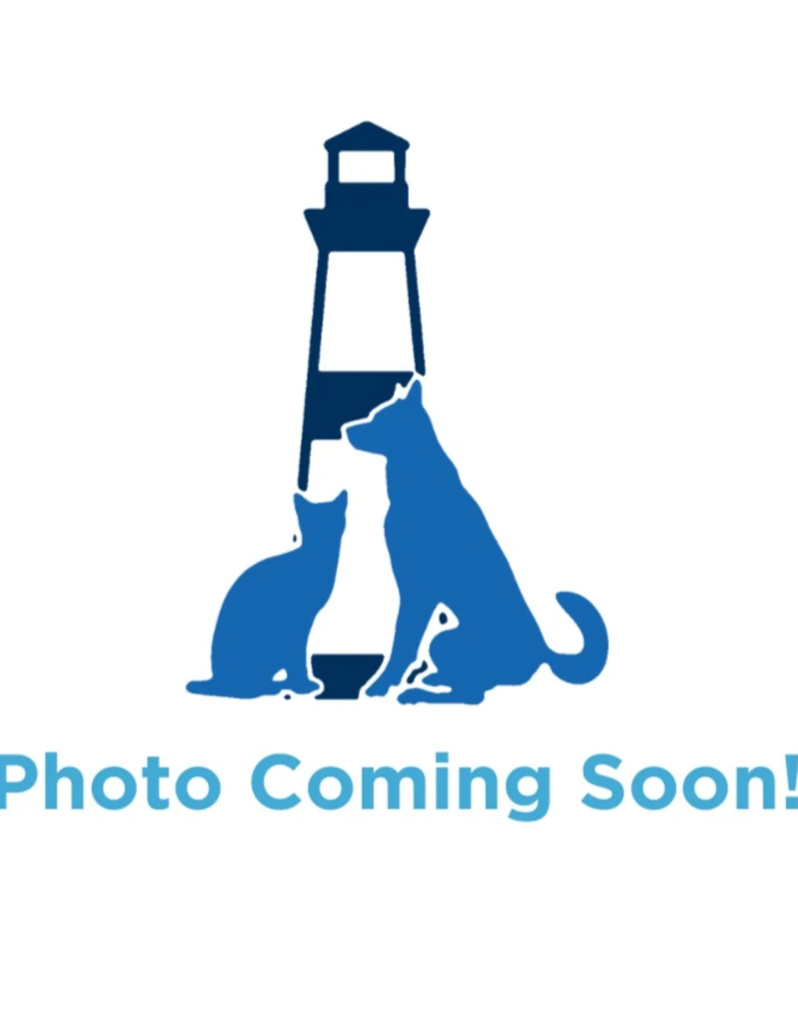 Dr. Katie Wright Dr. Katie Wright