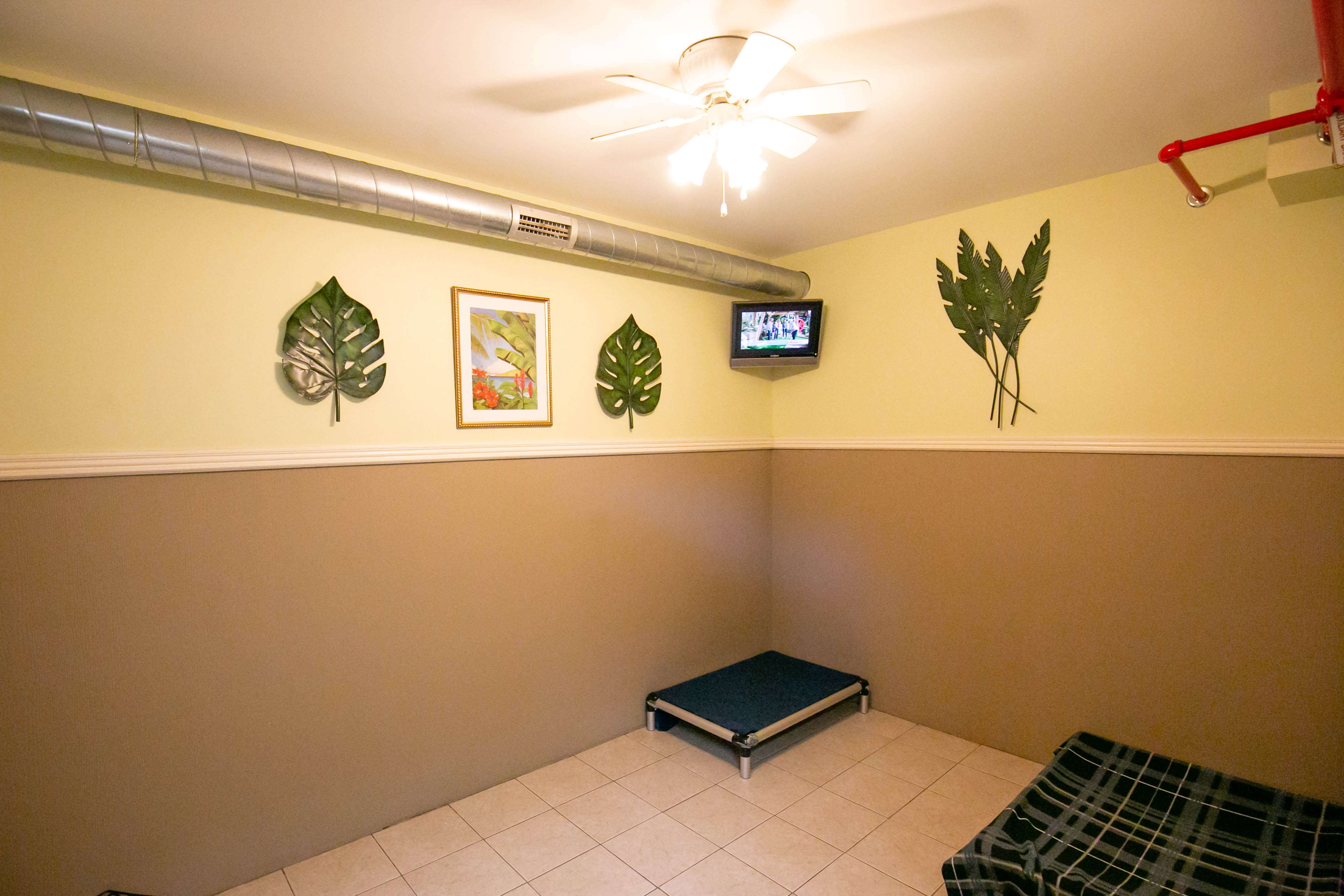 Uptown Hounds Boarding Room which consists of beds for the pup(s) can stay in. 