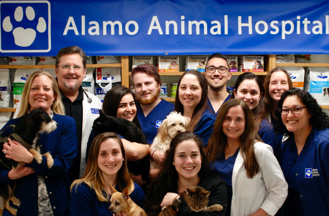 Homepage | Alamo Animal Hospital