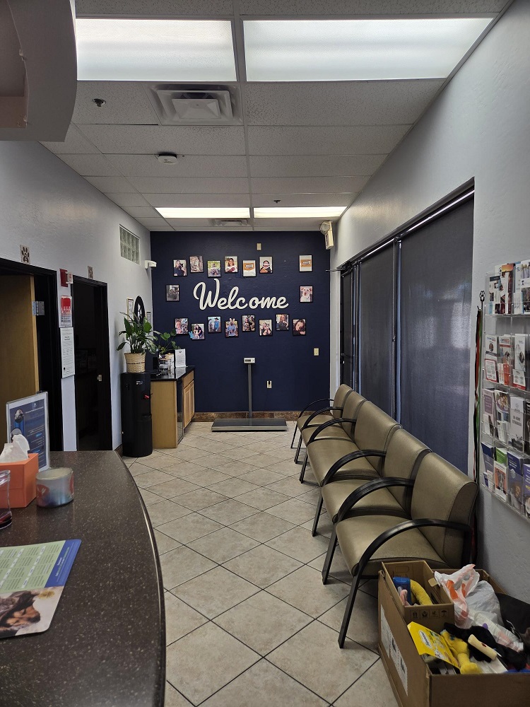 Welcome Lobby
