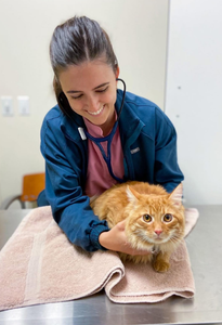 Howie & Cat