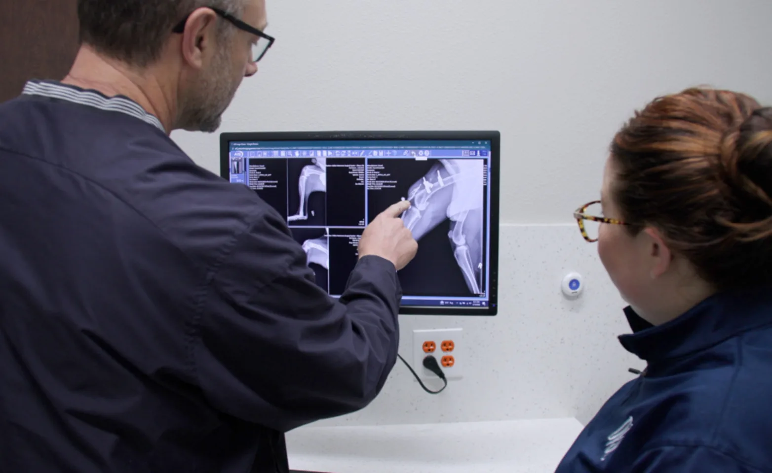 Two staff members looking at a diagnostic screening Two staff members looking at a diagnostic screening