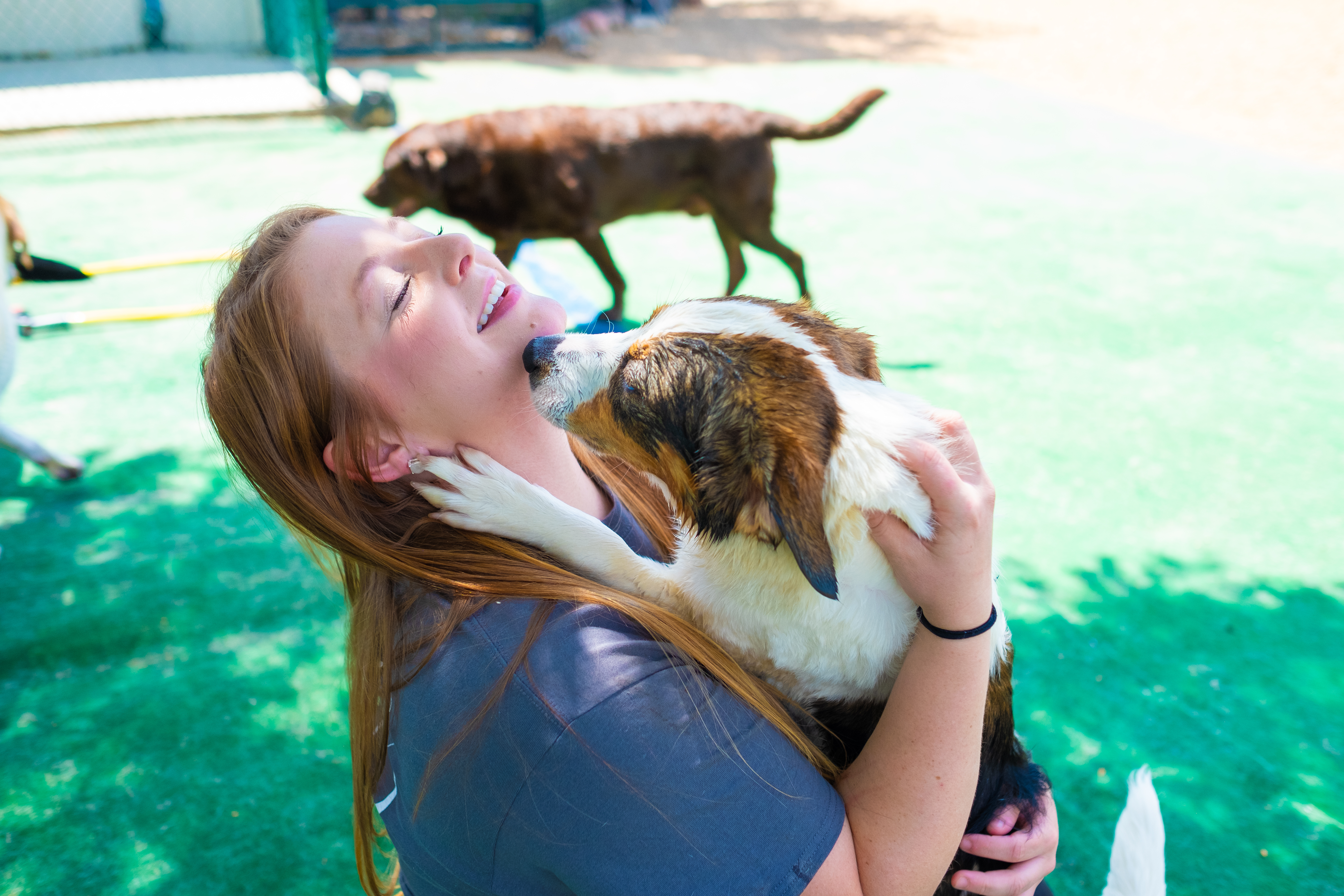 Bowhaus Employee with playful dog