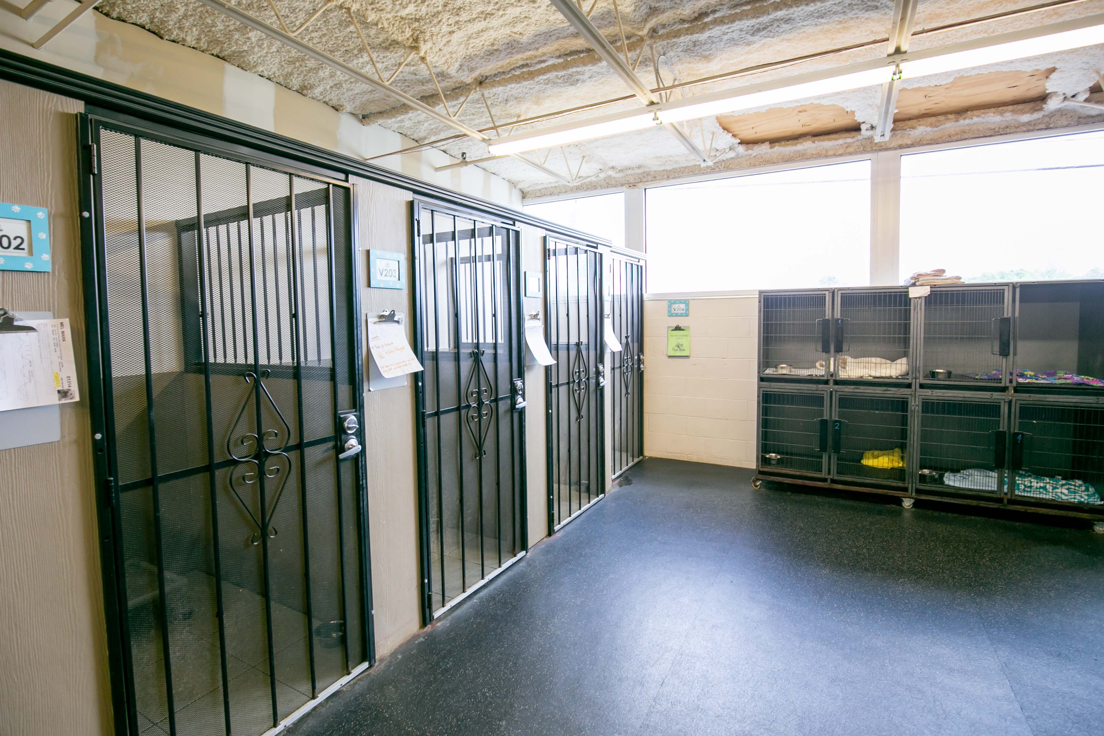 Uptown Hounds Boarding Room Area is where you can have your little and big dogs stay.