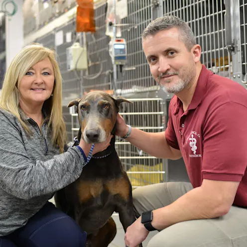Two staff members with dog in the kennel area at Animal Medical Center of Hattiesburg. Two staff members with dog in the kennel area at Animal Medical Center of Hattiesburg.