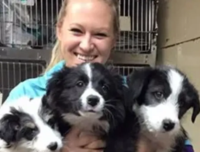 Eastside Pet Clinic staff hugging 3 dogs