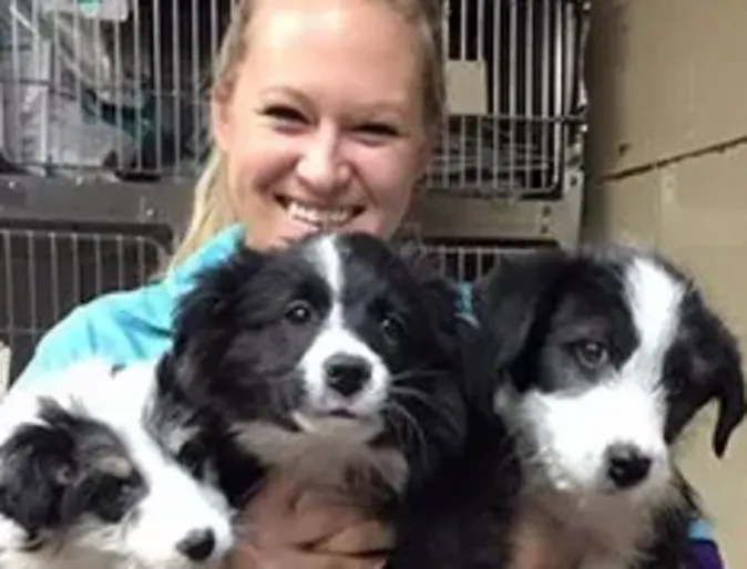 Eastside Pet Clinic staff hugging 3 dogs Eastside Pet Clinic staff hugging 3 dogs