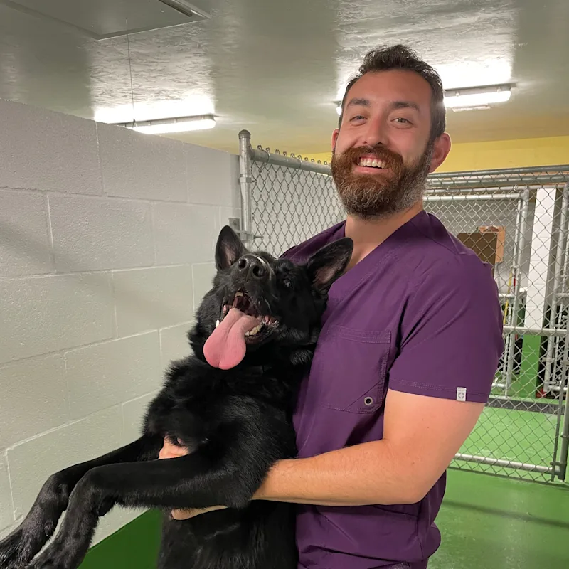 Dr. McMonagle Dr. McMonagle