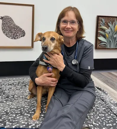 Dr. Iovino Dr. Iovino