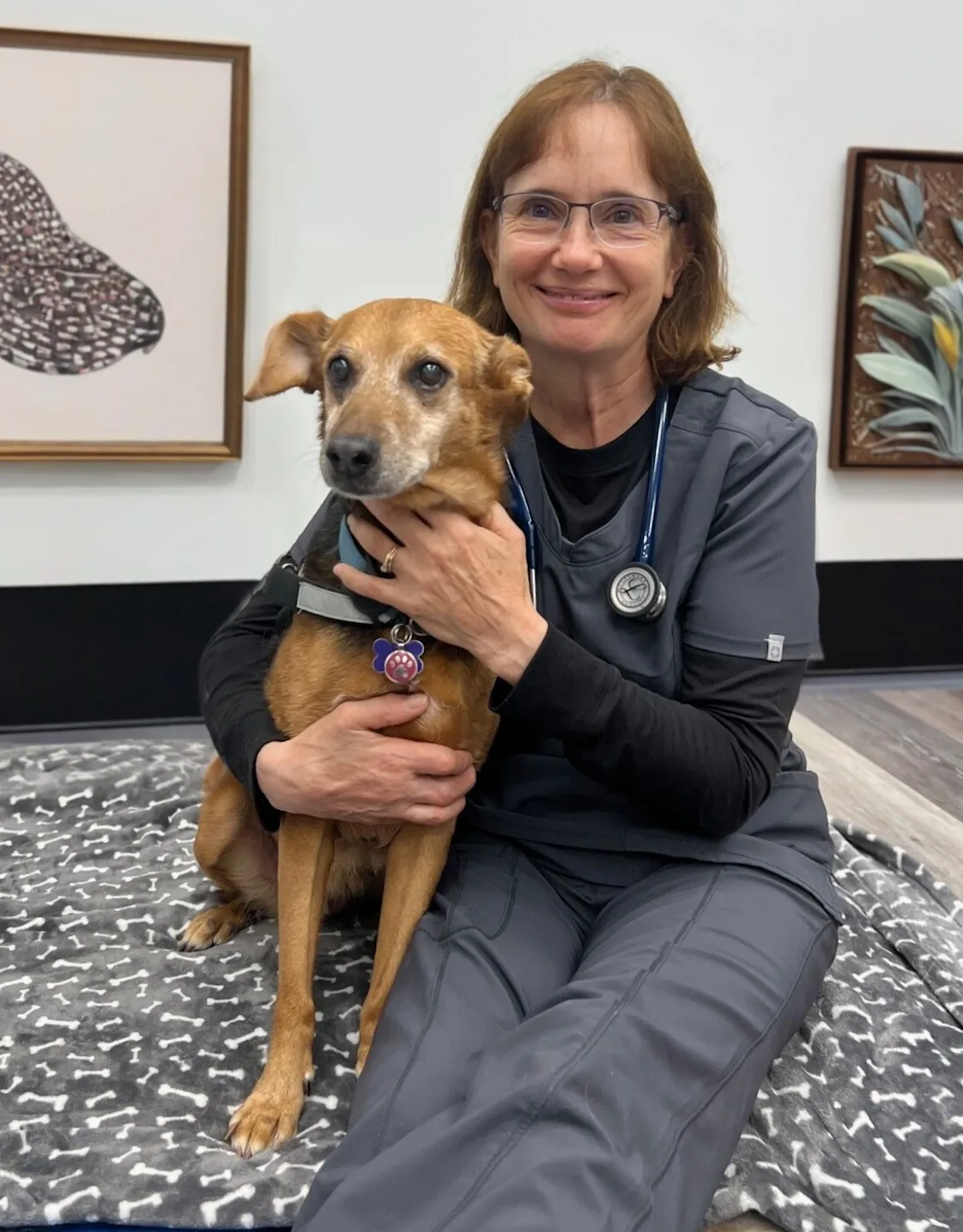 Dr. Iovino Dr. Iovino