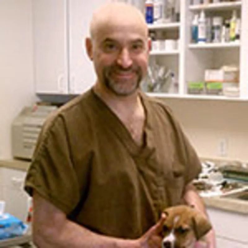 Maplewood Animal Hospital Dr. David Rabkin Maplewood Animal Hospital Dr. David Rabkin