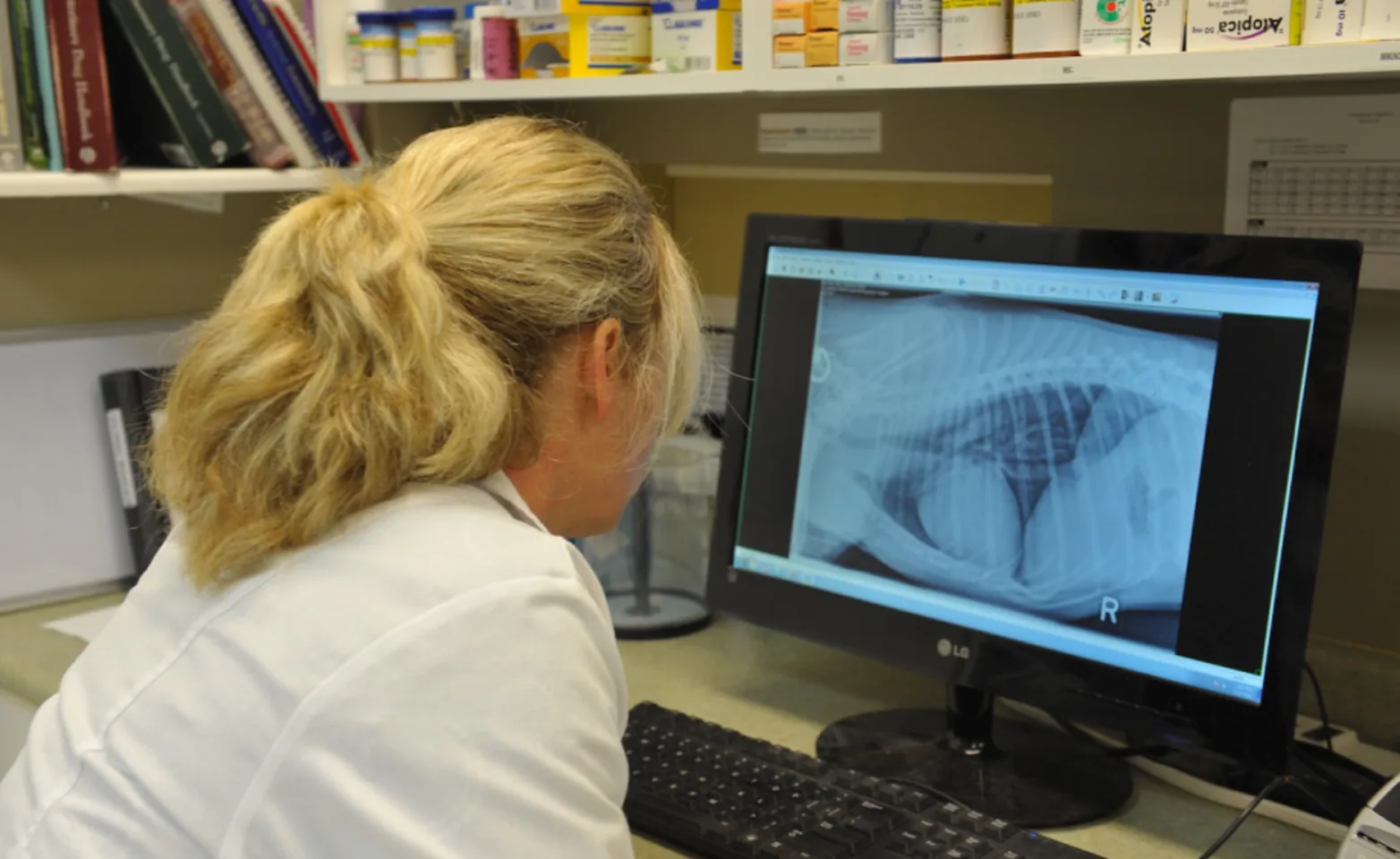 Digital Radiographs at Animal Emergency Clinic of the Fraser Valley Digital Radiographs at Animal Emergency Clinic of the Fraser Valley