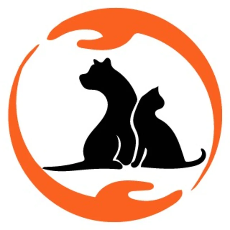 Chaimaa Nouira Chaimaa Nouira