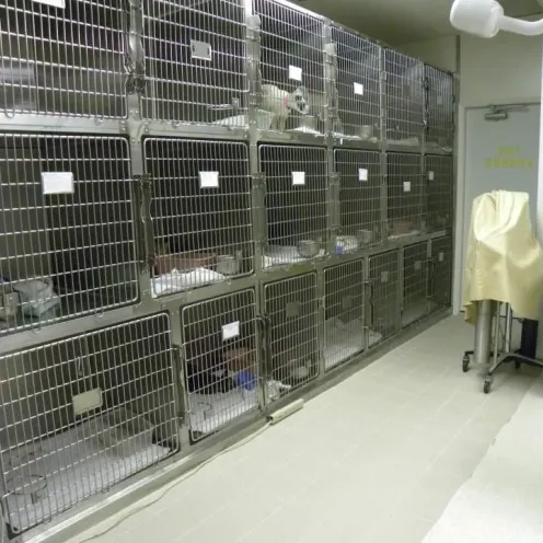 East Lake Animal Clinic's Cat Clinic Ward where they house the clients cats in kennels