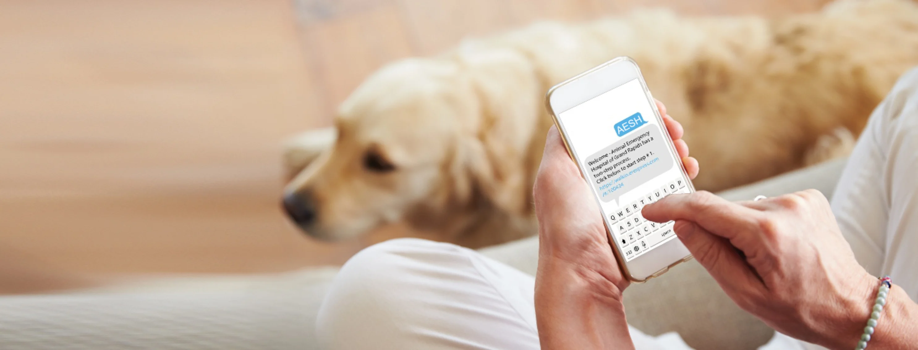Golden retriever laying down as a person texts. Golden retriever laying down as a person texts.